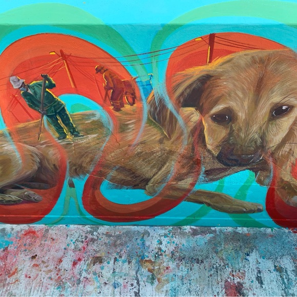 Meet your Posher, David - Picture 1 of 1